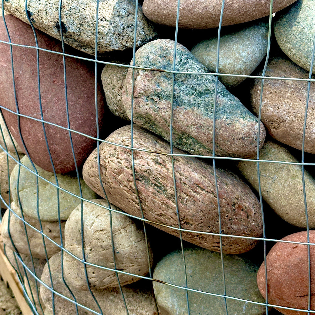 Close-up of Western Mountain Cobble Stone 4–8 inch showing vibrant blue, white, pink, green, tan, gray, and black color variation