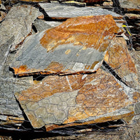 Summer Tan Flagstone