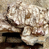 TN Decorative Boulder 1616 Pounds