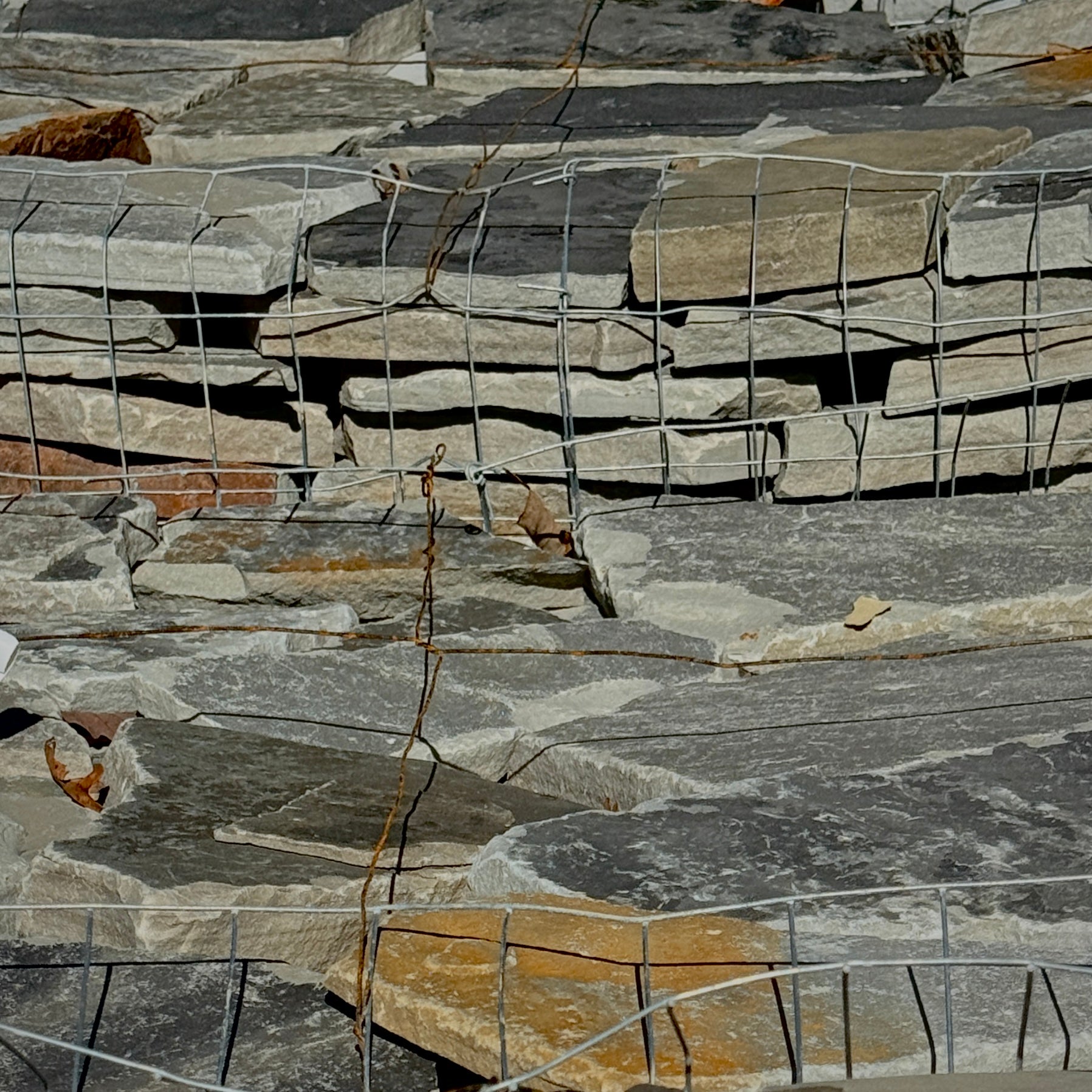 Brandy Sawed Random Flats