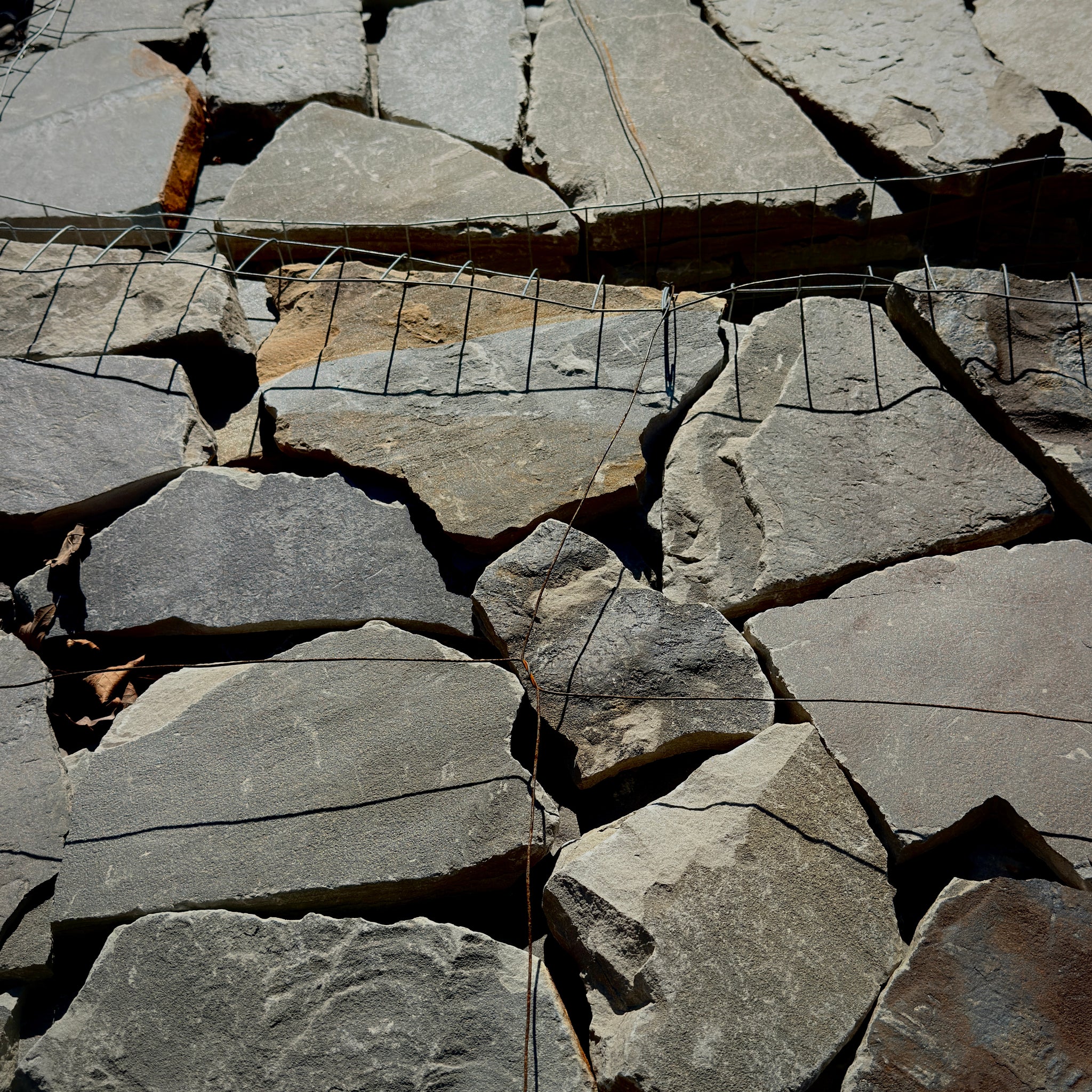 Brandy Sawed Random Flats