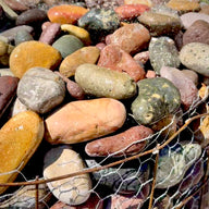Exotic Mexican Beach Pebbles 2–4 inch on a 2,000 lb pallet