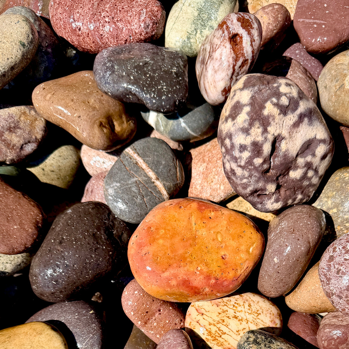 2–4 inch Exotic Mexican Beach Pebbles full pallet for landscaping