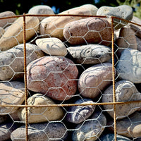 Smooth rounded Exotic Mexican Beach Pebbles with naturally polished surfaces