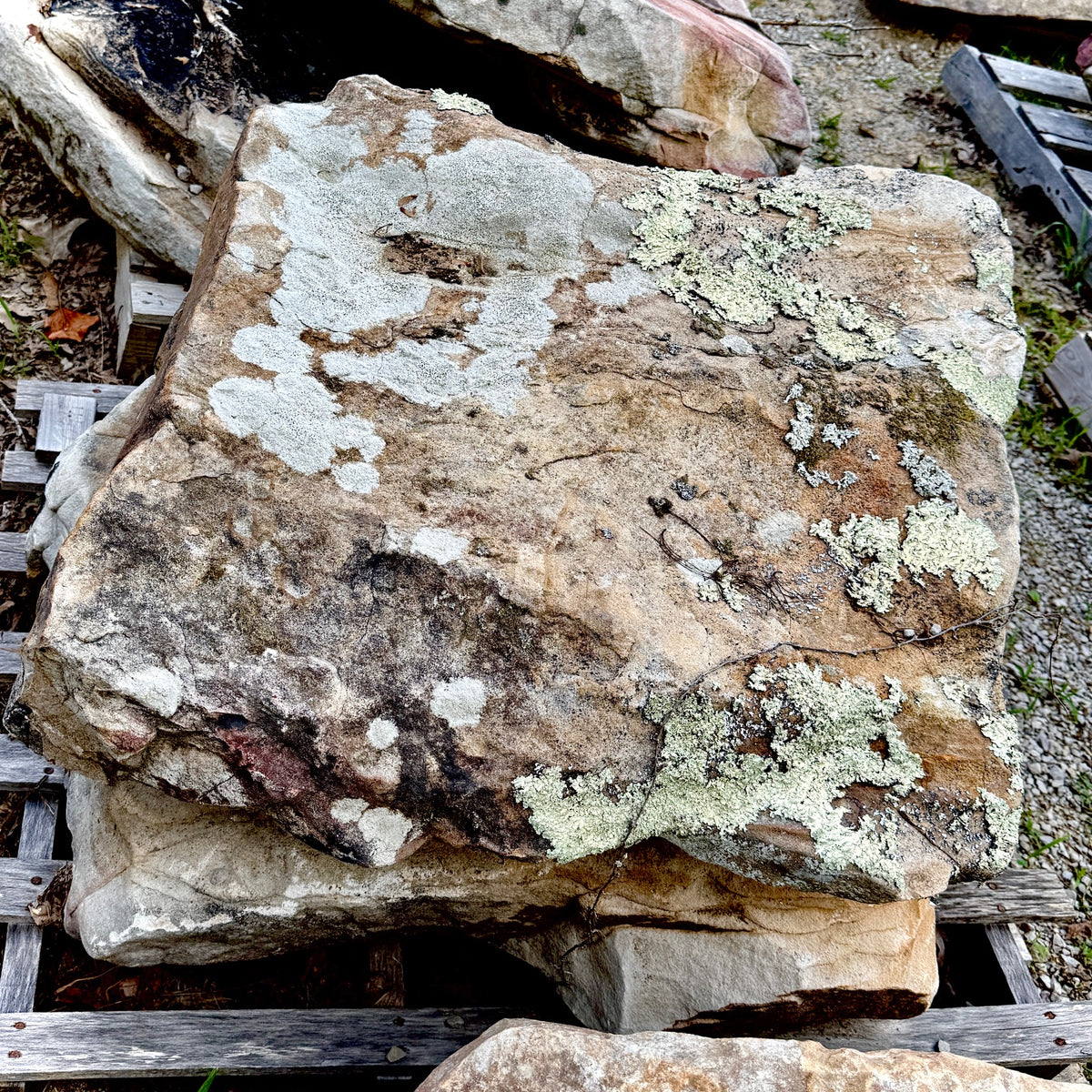 Tennessee Boulders Rocks Tennessee Fieldstone Landscape Boulder | Large Sandstone Boulder | Tons ...