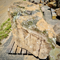 TN Fieldstone Boulder- 1 per pallet