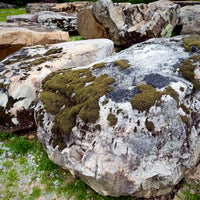 Large landscape sandstone boulder with an irregular natural shape