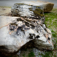 Close-up of the natural texture and color variations of a Tennessee Fieldstone boulder
