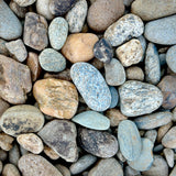 Newport River Rounds 1–3 inch natural decorative river rock on a pallet.