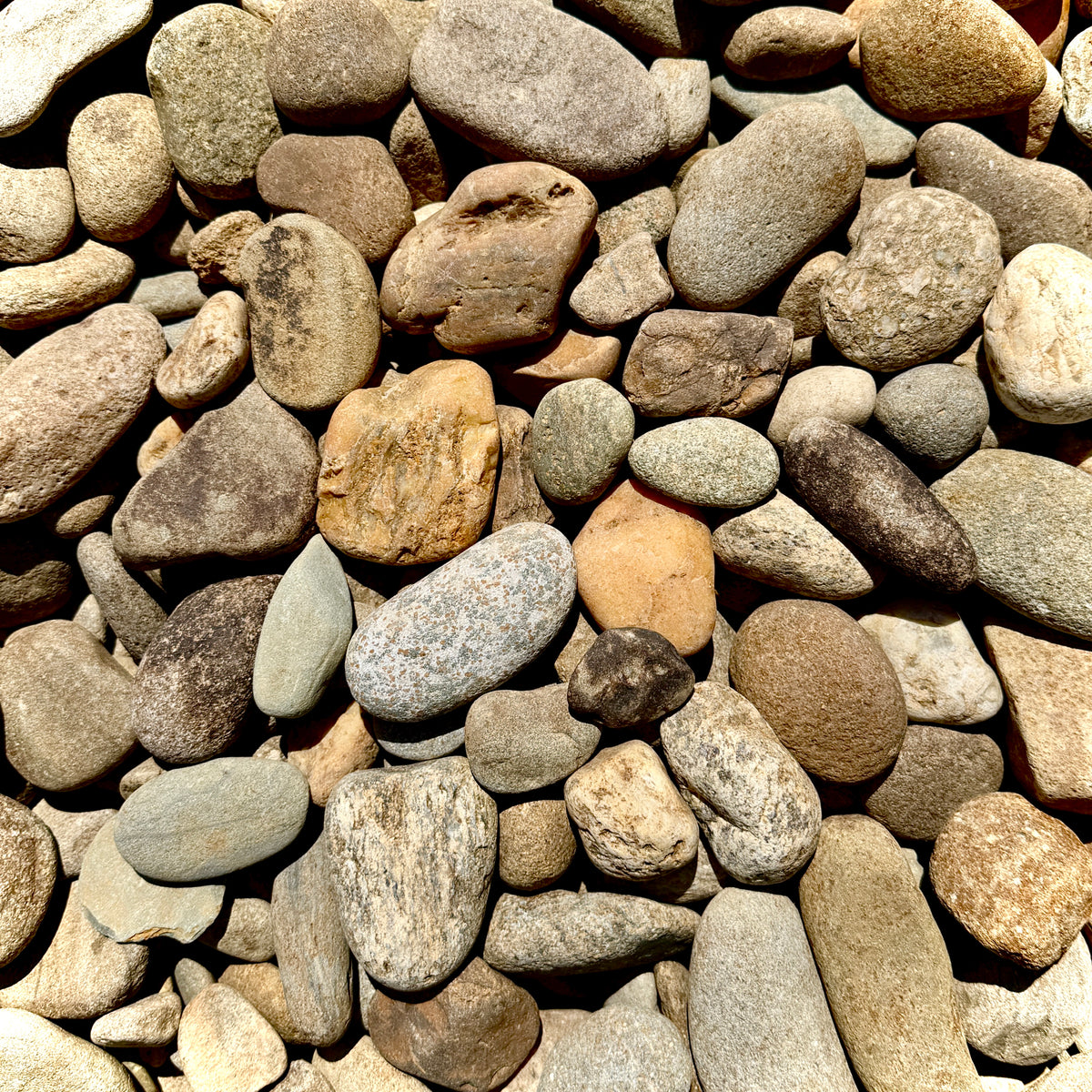 Close-up of Newport River Rounds 1–3 inch showing smooth rounded stones in natural gray, tan, brown, and cream tones.
