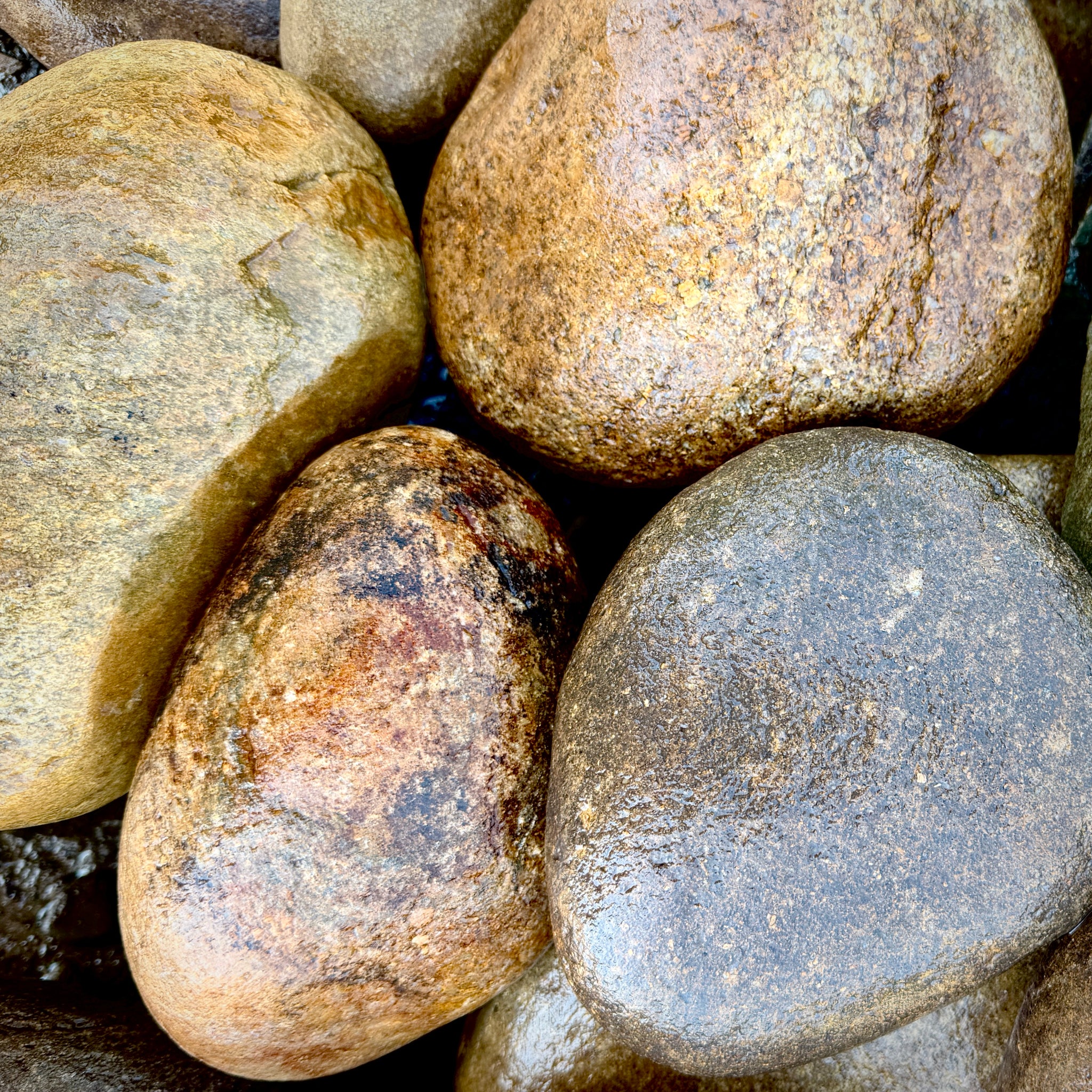 Newport River Rounds natural flat river stone