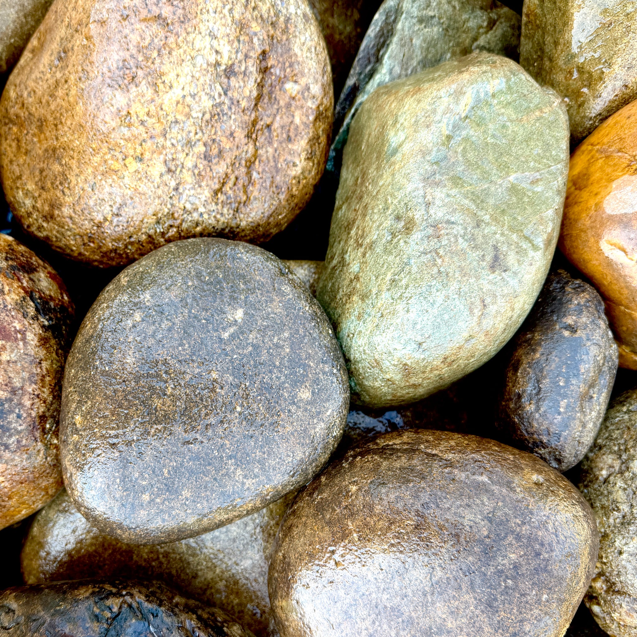 Newport River Rounds landscaping stone