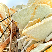 Palmetto Thin Flagstone