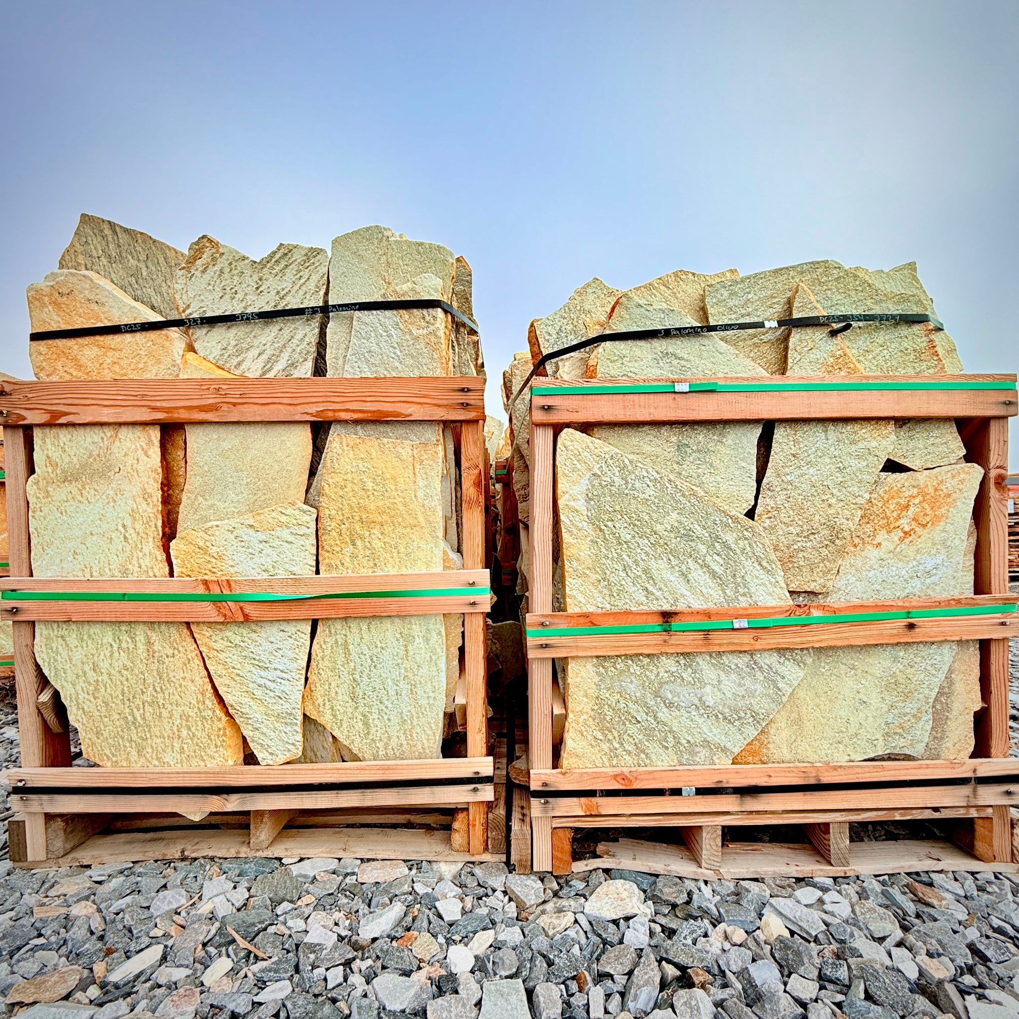 Palmetto Thin Flagstone