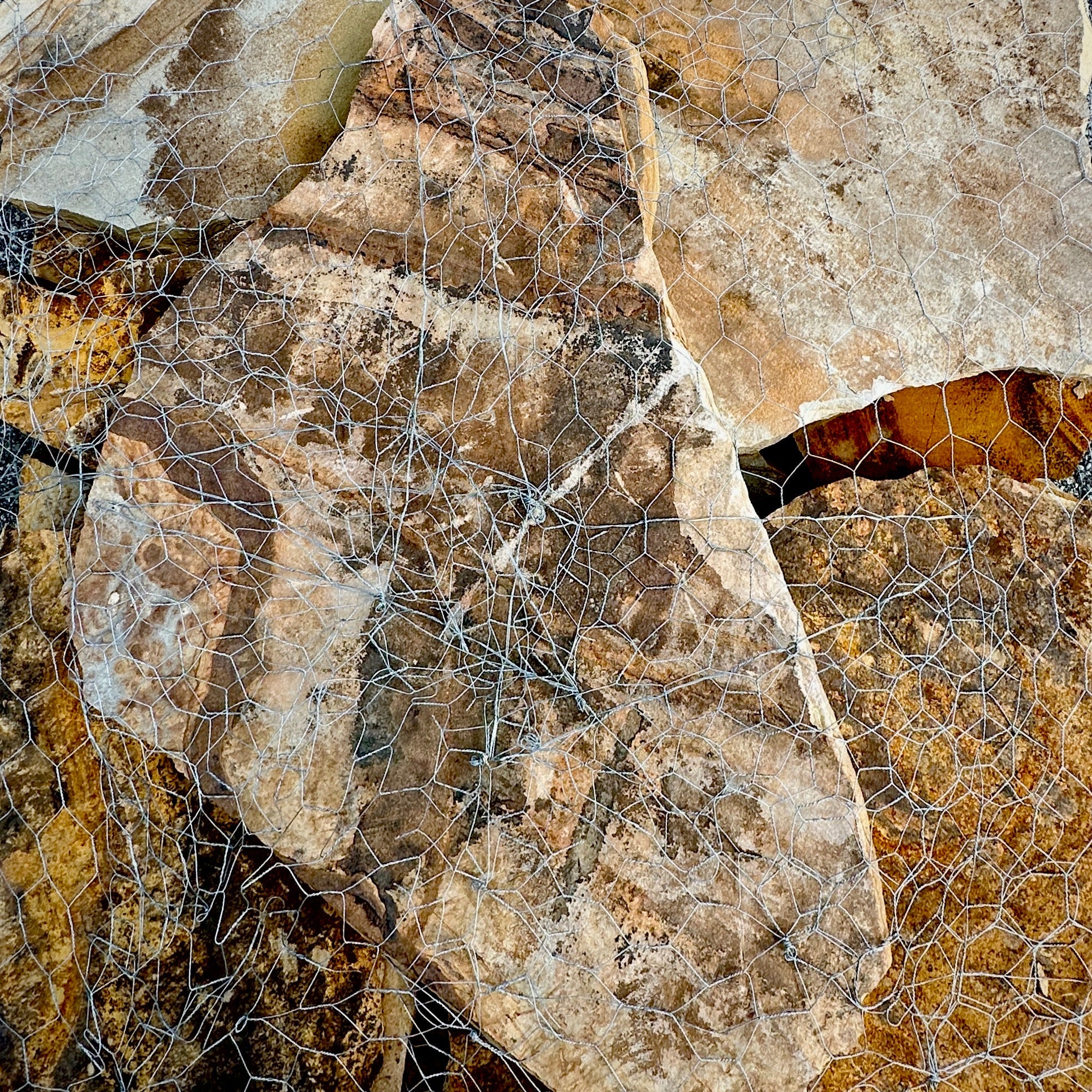 Brown Mountain Flagstone Thick