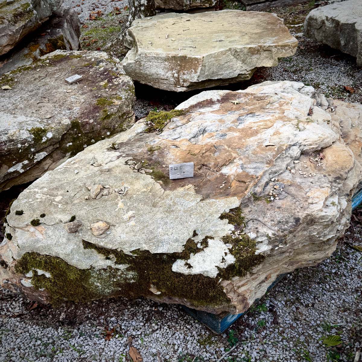 Tennessee Large Grotto Fieldstone showing its natural sandstone surface, irregular edges, and substantial thickness.