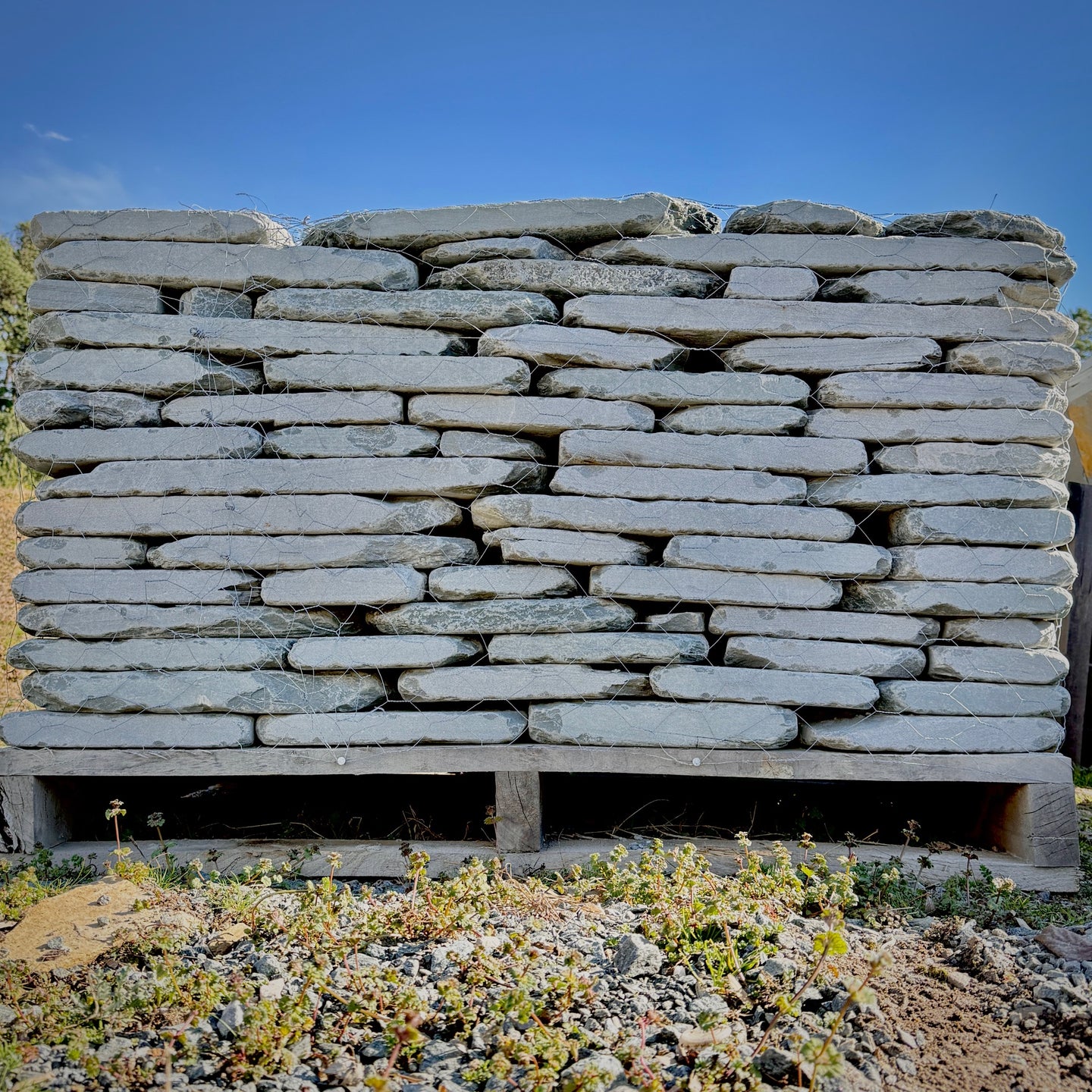 Tumbled Bluestone Pavers