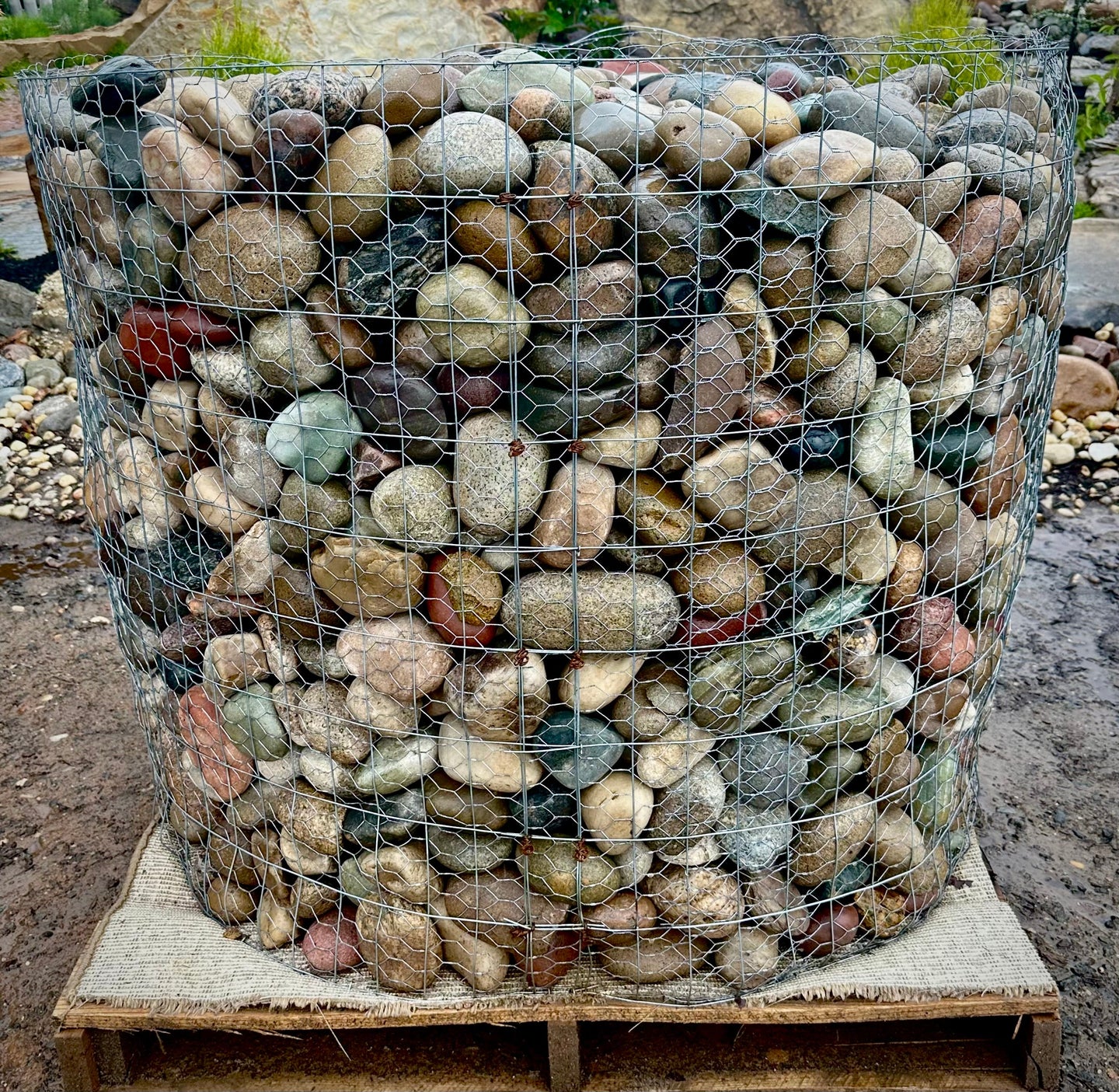 Western Mountain Cobble Stone 2–4 inch on a 2,000 lb pallet