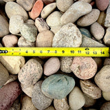 Close-up of Western Mountain Cobble Stone 2–4 inch showing and measuring tape with vibrant blue, white, pink, green, tan, gray, and black color variation