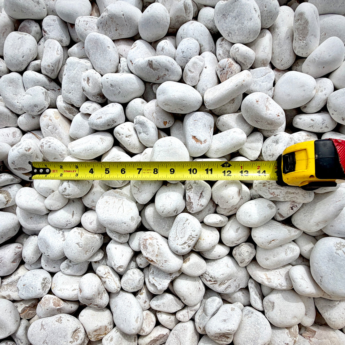 Close-up of smooth White Mexican Beach Pebbles with naturally polished surfaces and a measuring tape for reference