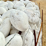 White Mexican Beach Pebbles 1" - 3"