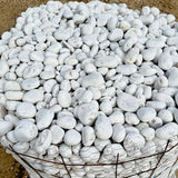 White Mexican Beach Pebbles 1" - 3"
