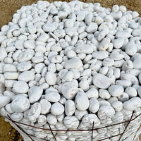 White Mexican Beach Pebbles 1" - 3"