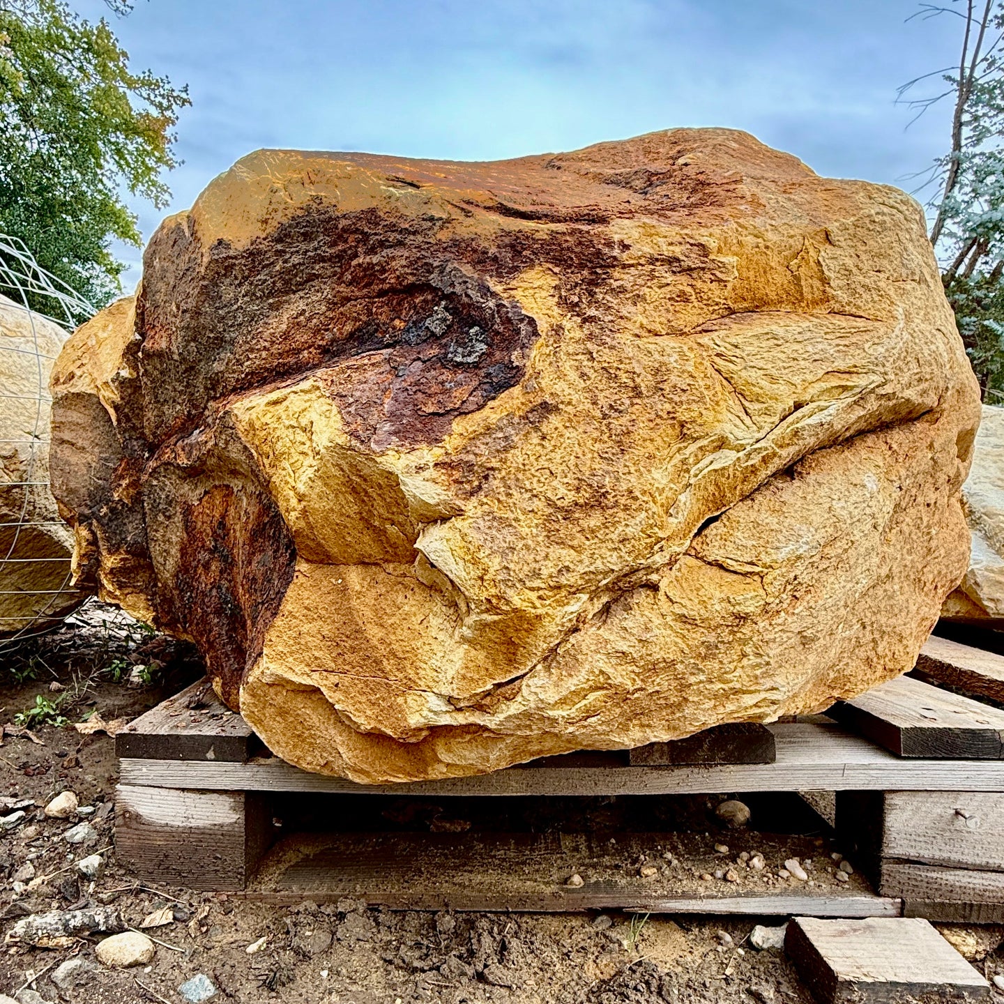 Yellow River Boulder- 1-3 per pallet