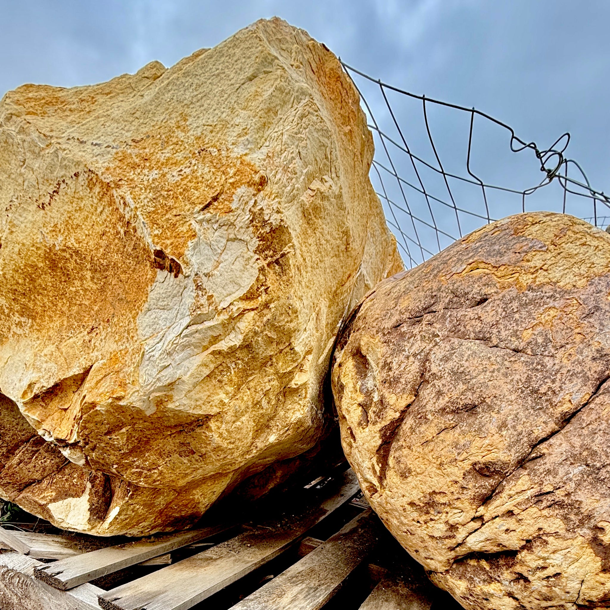 Yellow River Boulder- 1-3 per pallet