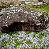 Naturally weathered Tennessee fieldstone with distinctive surface markings