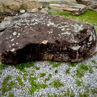 Naturally weathered Tennessee fieldstone with distinctive surface markings