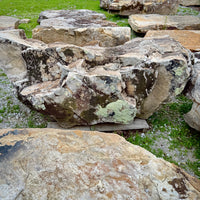 Large Tennessee sandstone fieldstone boulder showing its natural shape and weathered texture