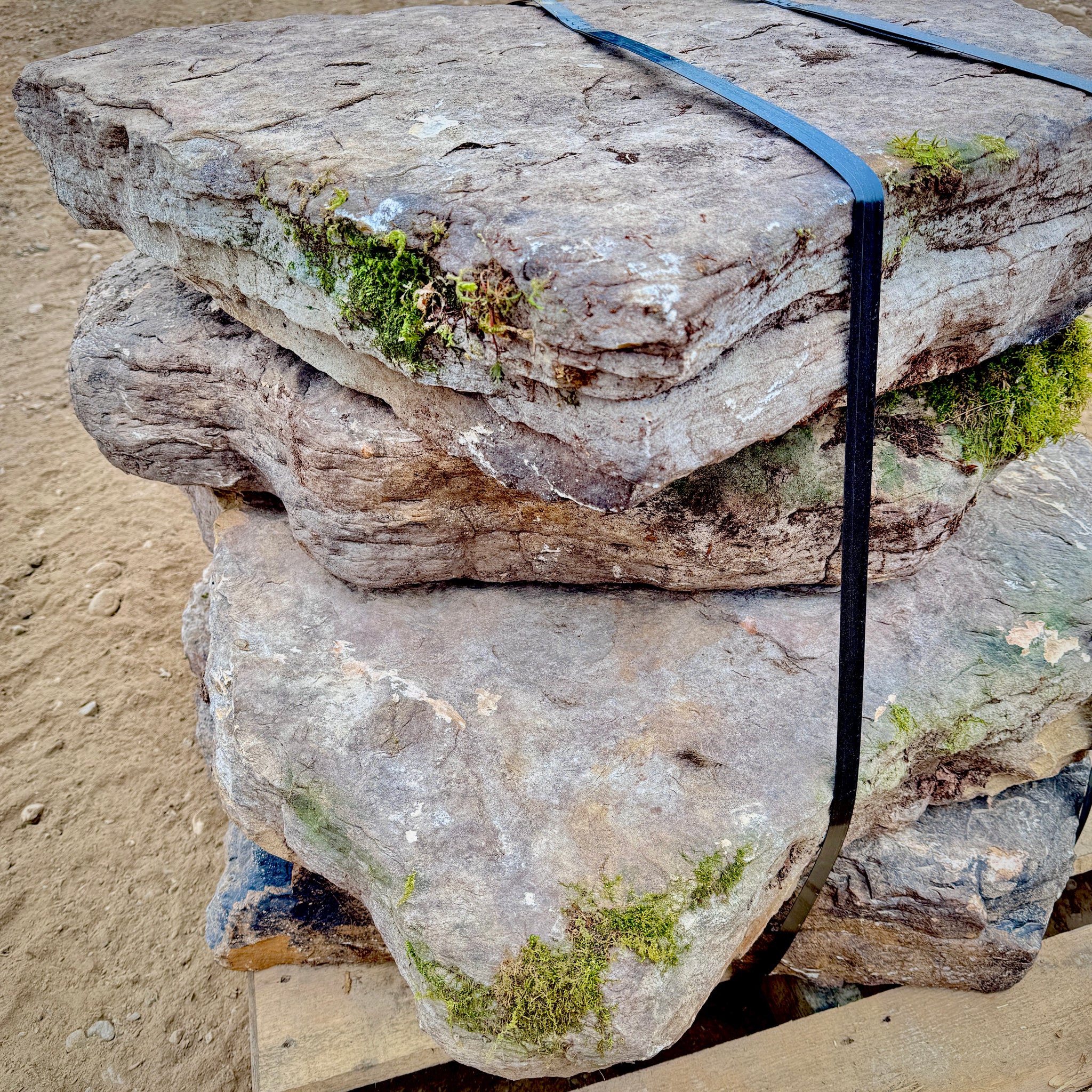 Fieldstone Steppers