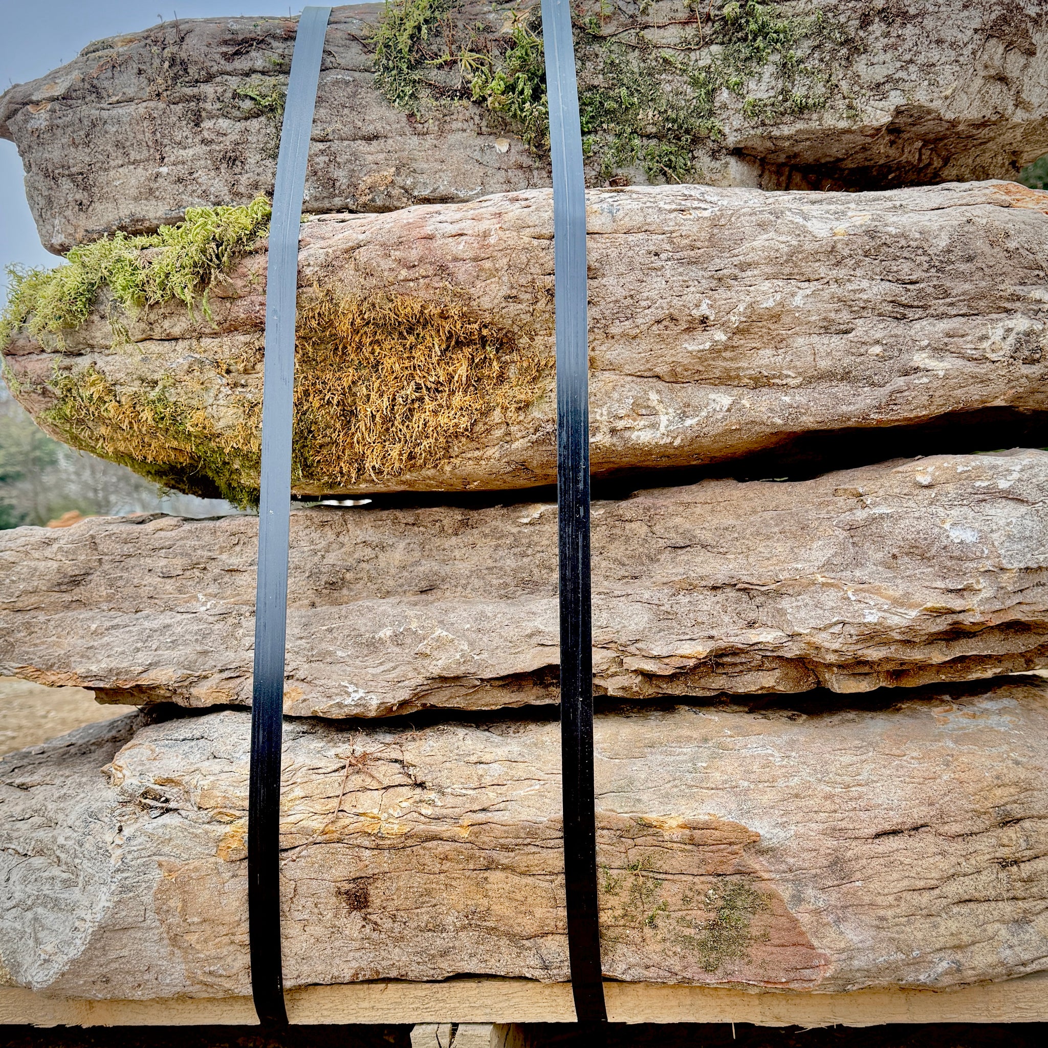 Fieldstone Steppers