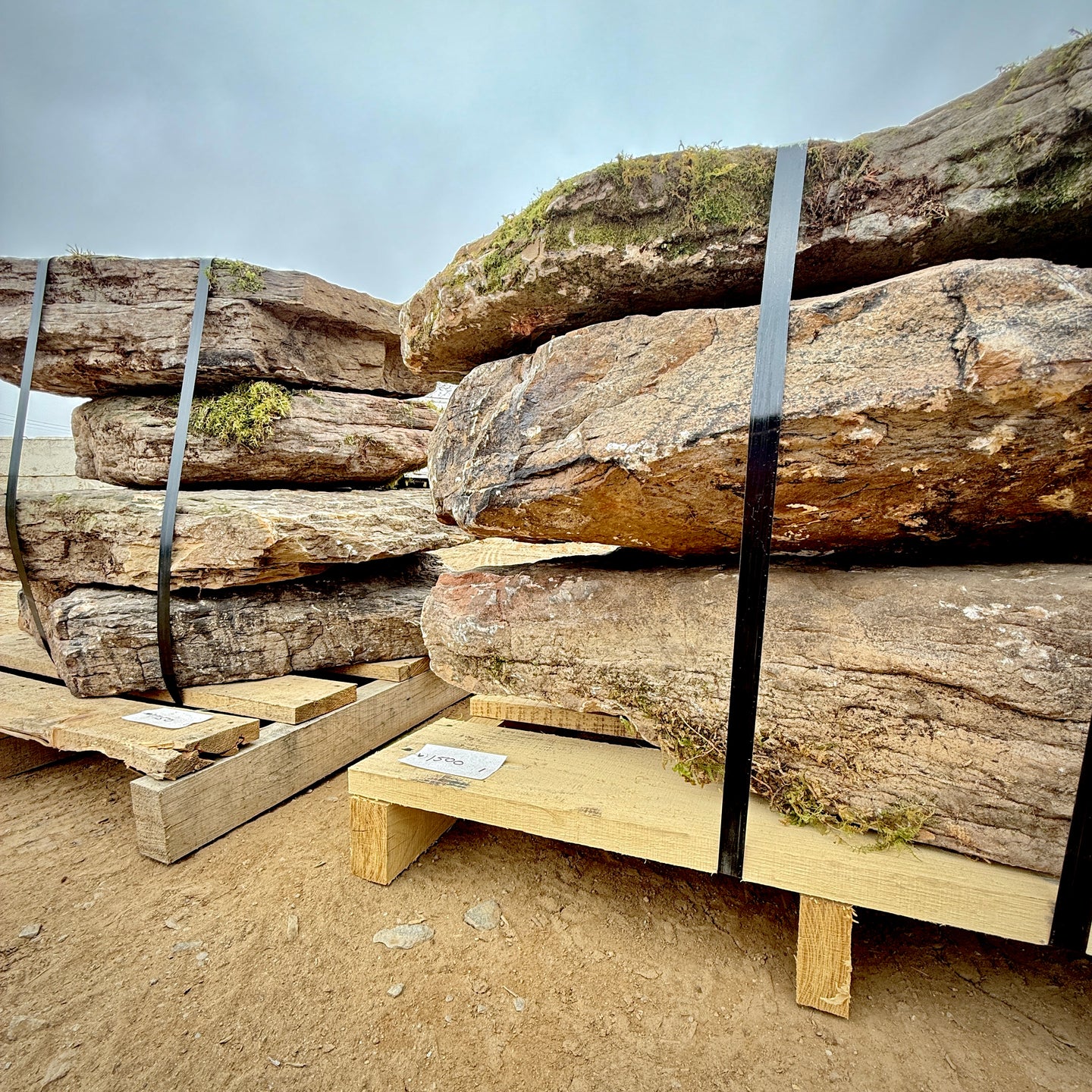 Fieldstone Steppers