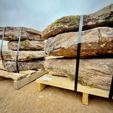 Fieldstone Steppers