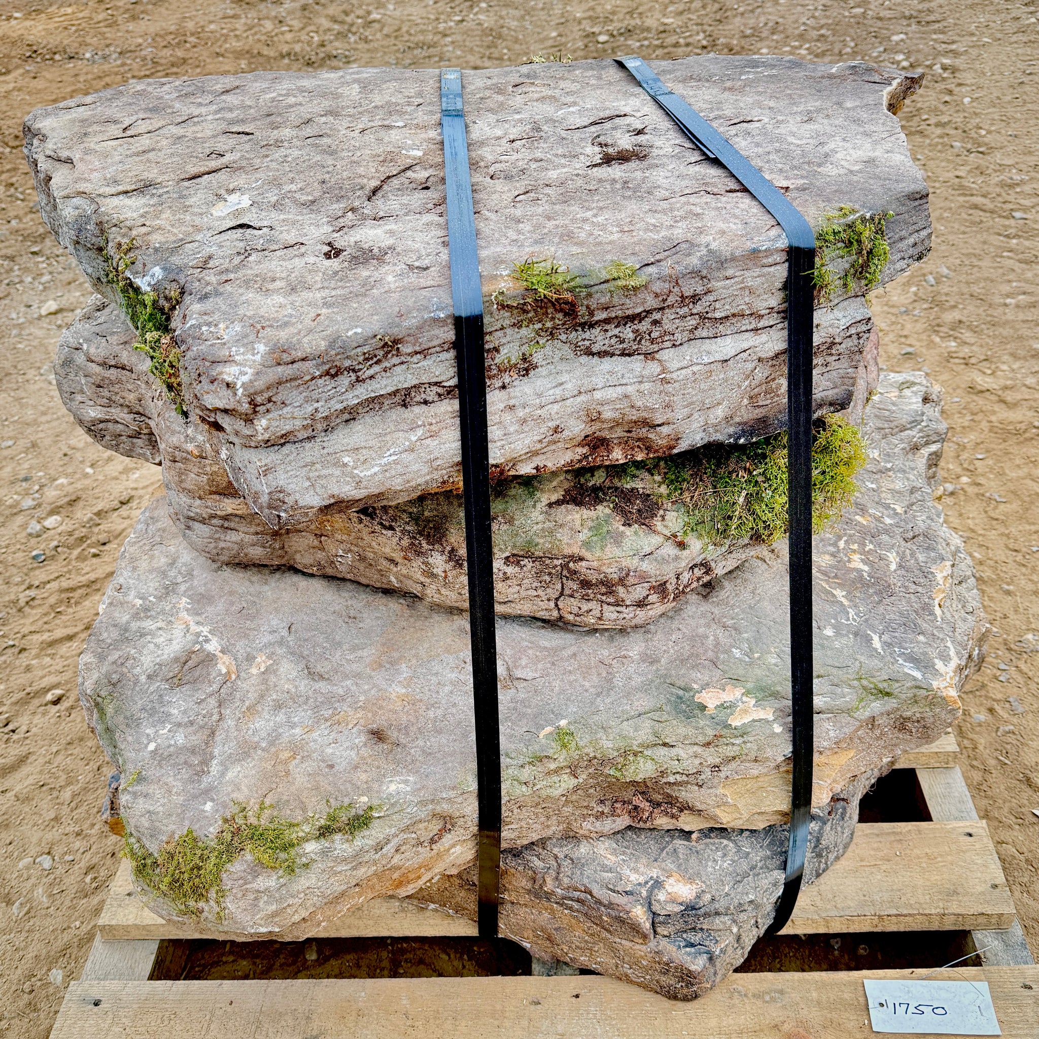 Fieldstone Steppers